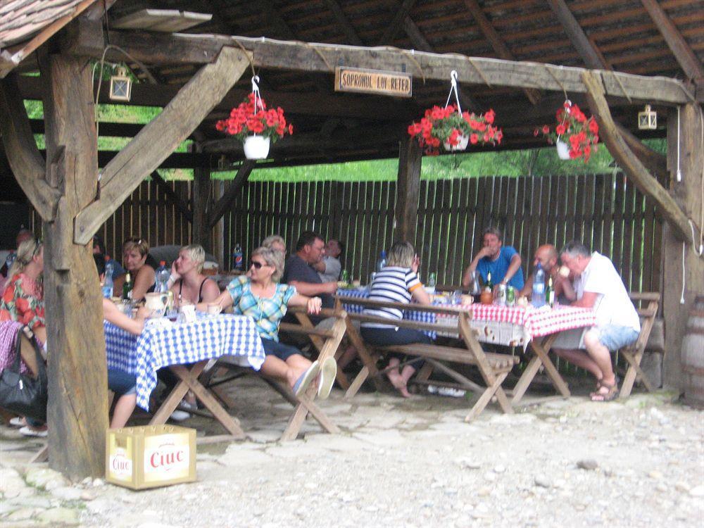 Pension Cartref Saschiz Extérieur photo