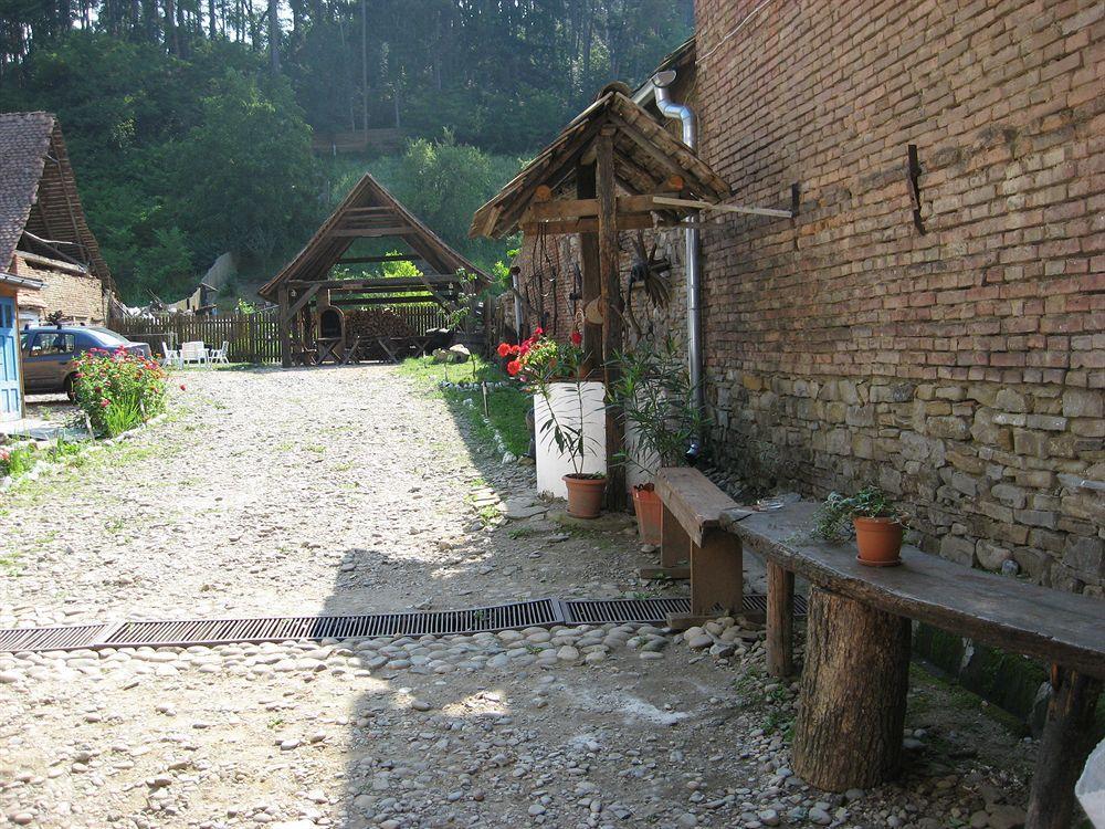 Pension Cartref Saschiz Extérieur photo