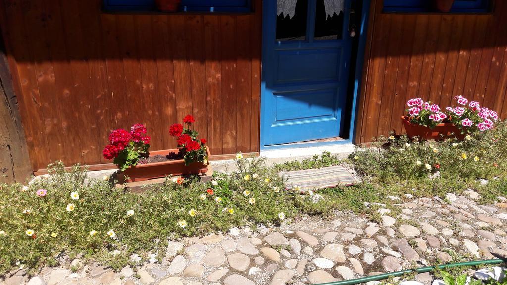 Pension Cartref Saschiz Extérieur photo