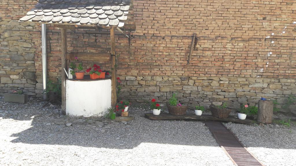 Pension Cartref Saschiz Extérieur photo