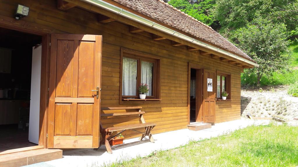 Pension Cartref Saschiz Extérieur photo