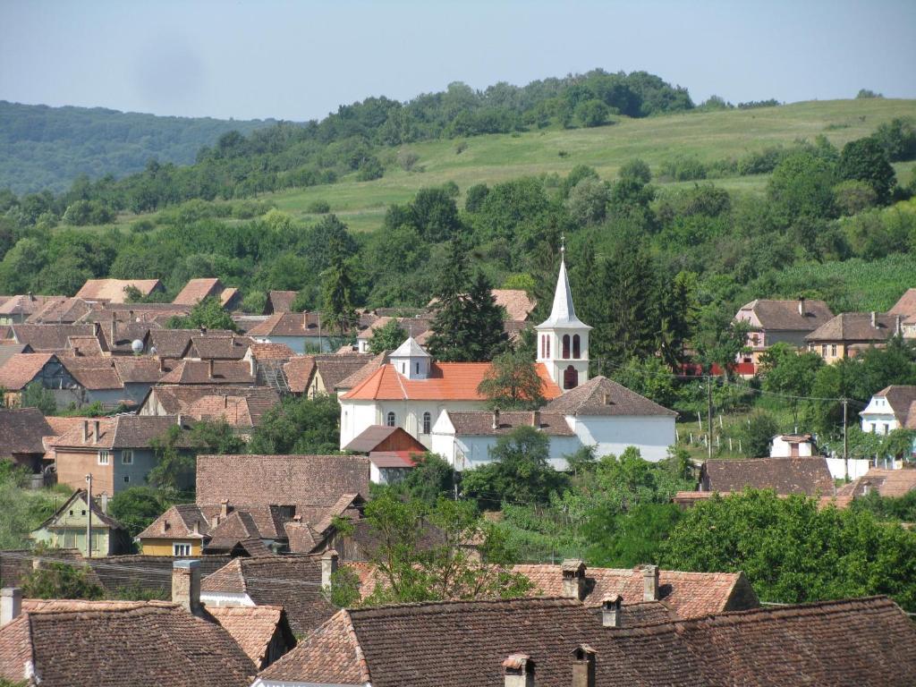 Pension Cartref Saschiz Extérieur photo